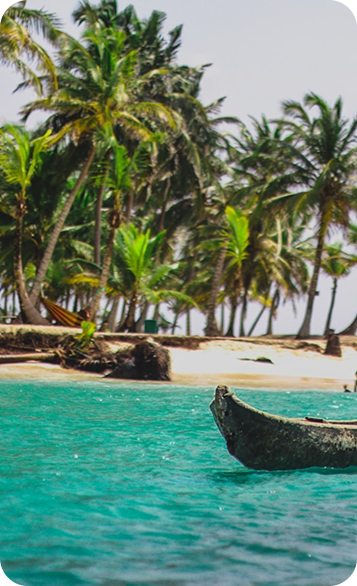 Banner 1