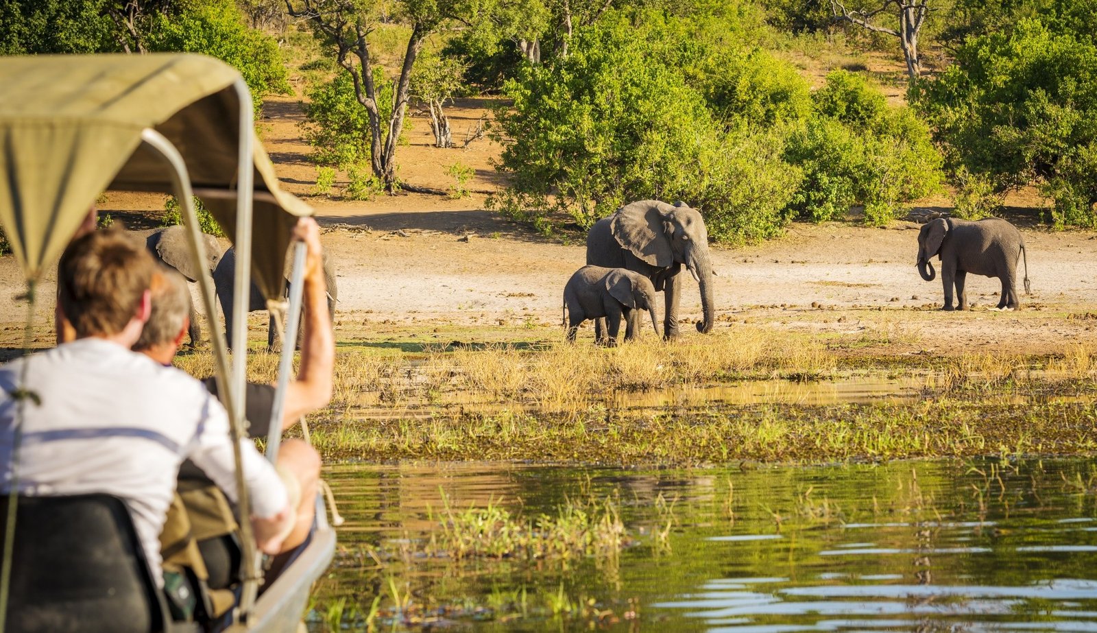 Safari Holidays