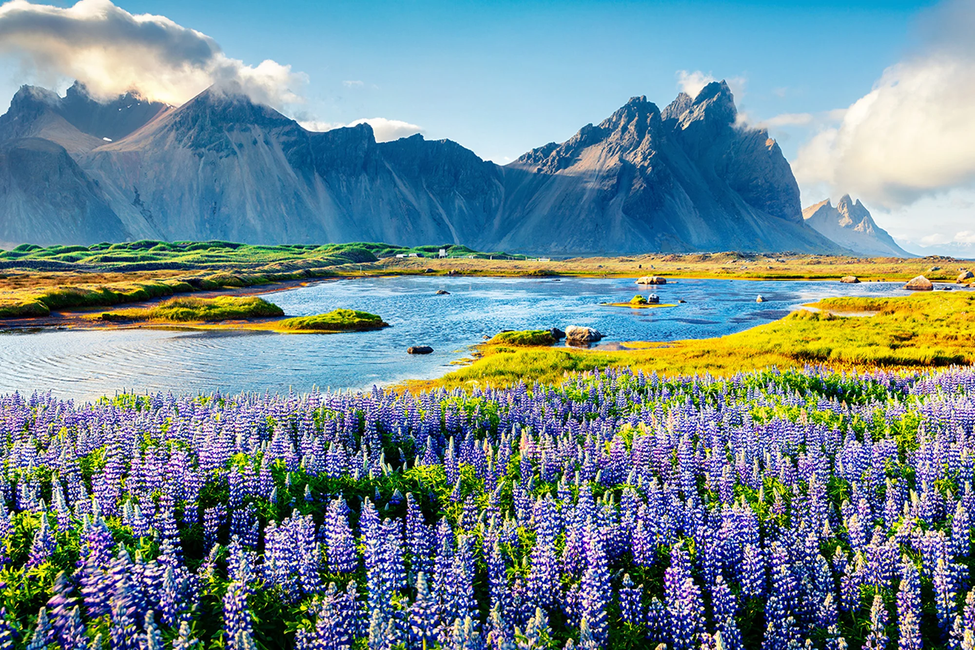 New Zealand